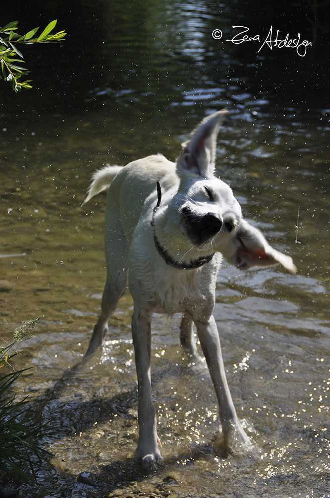 Wasserspiele